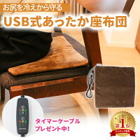 【プレゼント付き】あったかグッズ USB クッション 電気 座布団 ホットクッション ...