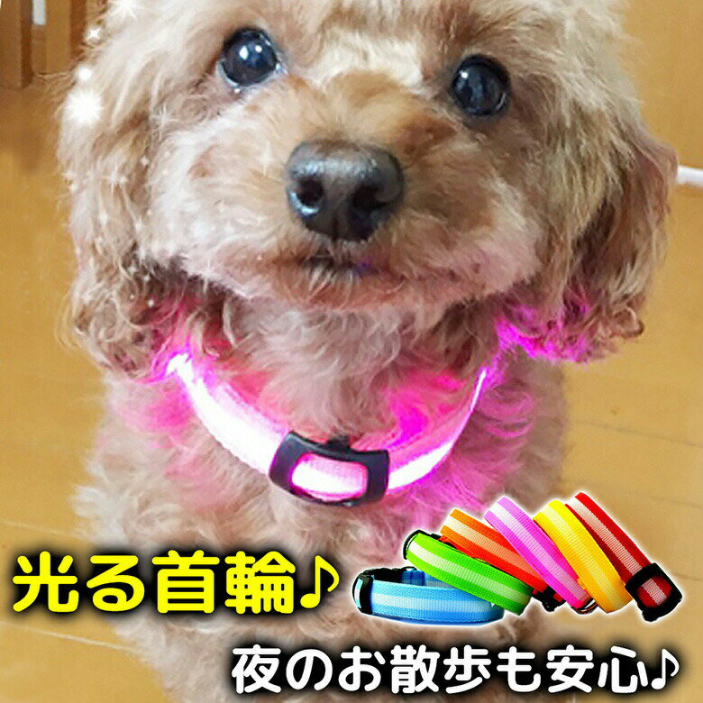 犬 首輪 光る 光る首輪 LED キラキラ