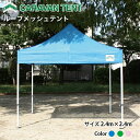 ルーフメッシュテント RMDA2424 2.4m×2.4m 設置かんたん テント 簡単 組み立て イベント 運動会 集会 学校 自治会 軽量 TENT 卒業記念