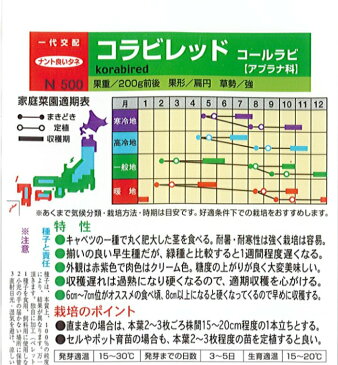 ナント 種苗 コールラビ 種子 「コラビレッド」 小袋（80粒）規格 野菜種 アブラナ科 キャベツ かぶ甘藍 種 野菜の種 赤 紫