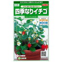 サカタのタネ イチゴ 種子 「四季なりイチゴ ワイルドストロベリー」 小袋 0.1ml 規格 種 野菜種 バラ科 オランダイチゴ属 シキナリイチゴ 赤 プランター 対応