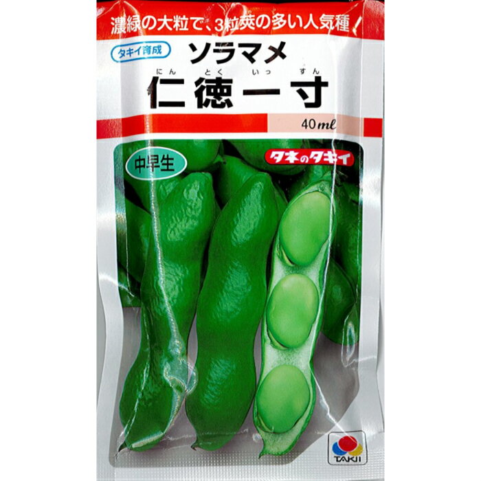 タキイ 種苗 ソラマメ 種子 仁徳一寸 小袋 35ml 規格 種 野菜 野菜種 野菜種子 そら豆 3粒莢 濃緑 中早生 多収 空豆タネ 仁徳のサムネイル
