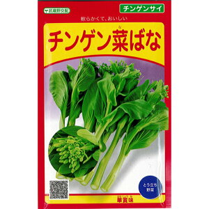 武蔵野 種苗園 チンゲンサイ 種子 チンゲン菜ばな 小袋 4ml 規格 種 野菜 野菜種 野菜種子 緑 中国野菜 芯摘み菜 とう立ち 春限定