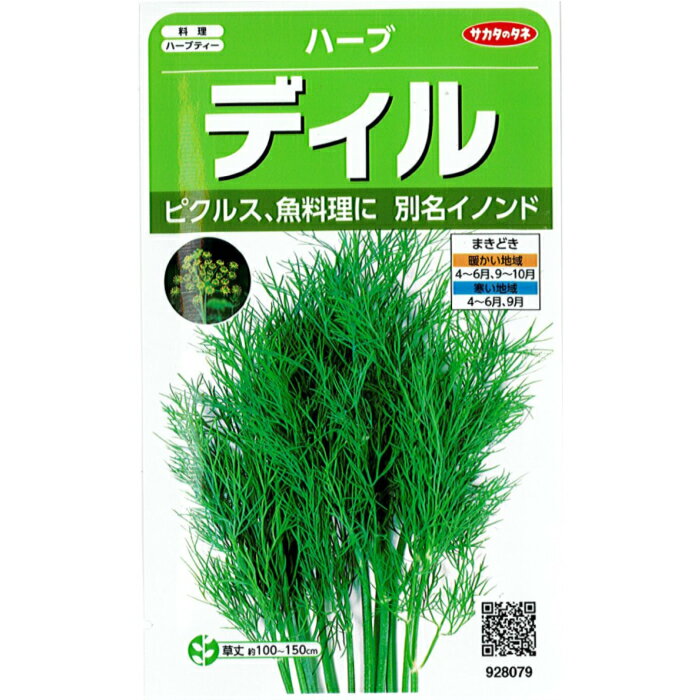 サカタのタネ ハーブ 種子 ディル 小袋 4.9ml 規格　種 野菜種 セリ科 イノンド属 イノンド ピクルス 切り花 料理 ハーブティー