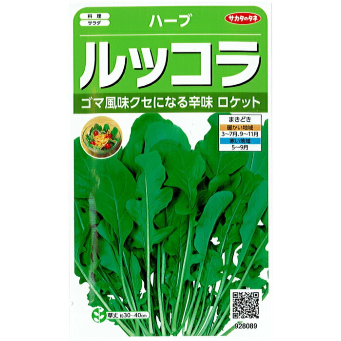 サカタのタネ ハーブ 種子 「ルッコラ」 小袋 2ml 規格 種 野菜種 アブラナ科 キバナスズシロ属 キバナスズシロ 地中海沿岸 原産 サラダ 料理 ロケット