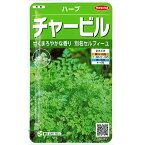 サカタのタネ ハーブ 種子 「 チャービル 」 小袋 5.9ml 規格 種 野菜種 セリ科 シャク属 ウイキョウセリ セルフィーユ グルメのパセリ ハーブティー スープ 魚料理 卵料理 フランス料理