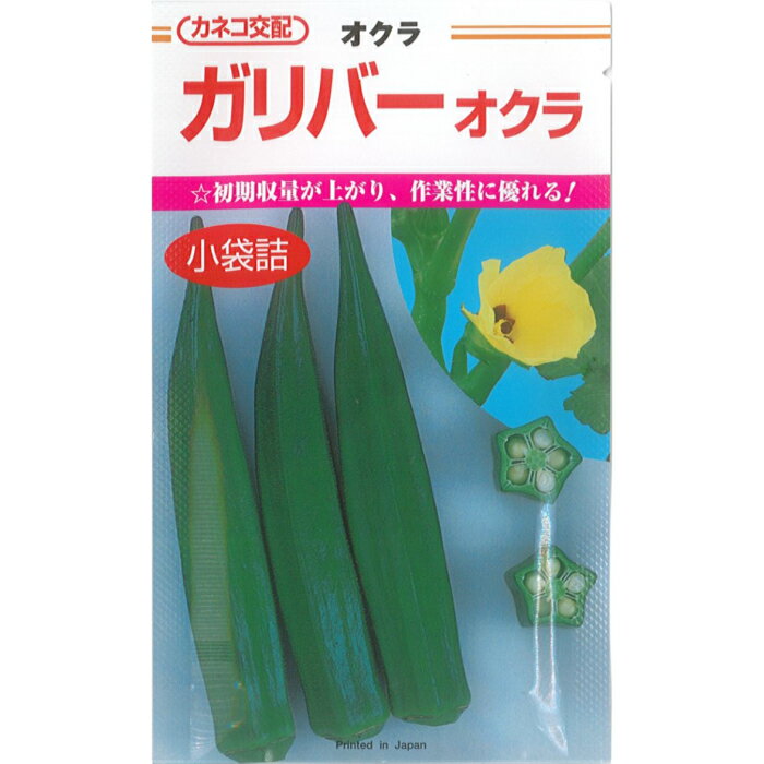 カネコ種苗 オクラ 種子 「 ガリバー 」 小袋 6.6ml 規格 種 野菜種 緑 夏野菜 五角 五角オクラ ねばねば 2月 4月 5月 7月 10月 11月