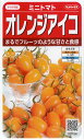 サカタのタネ トマト種子 「 オレンジアイコ 」 小袋 13粒 規格 トマト 種 種子 ミニトマト ミニ トマト オレンジ プラム つくりやすい 割れにくい ゼ...