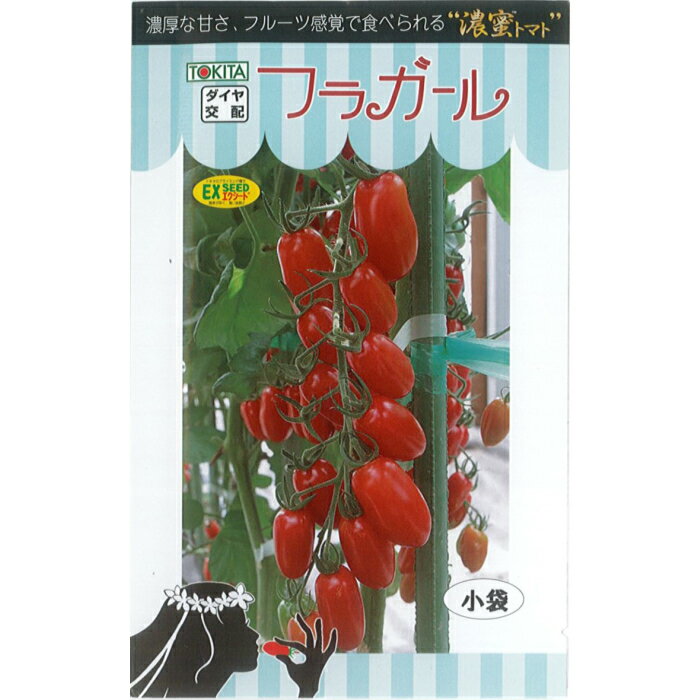 楽天種の家　楽天市場店トキタ種苗 トマト 種子 「フラガール」 小袋 8粒 規格 種 野菜の種 野菜種 ミニトマト 高糖度 トキタ