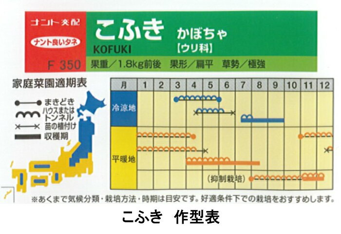 ナント種苗 カボチャ種子 「こふき」 小袋（8粒）規格［種］［カボチャ］［ホクホク］［黒皮］［野菜種］［野菜　種］
