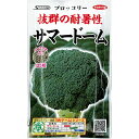 サカタのタネ ブロッコリー 種子 「 サマードーム 」 小袋 125粒 規格 種 野菜の種 ブロッコリー 種 頂花蕾 野菜種 105日 中早生