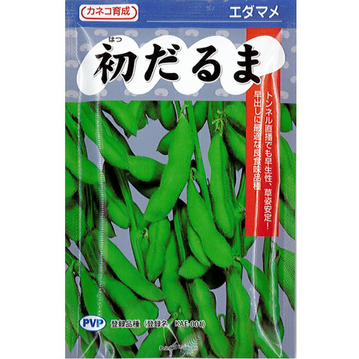 カネコ種苗 エダマメ 種子 「 初だるま 」 小袋（100粒）規格 種 野菜種 夏野菜 3月 4月 5月 6月 枝豆 極早生 低温着莢性 レギュラー 良食味 白毛 3粒莢 登録品種 PVP 海外持出禁止