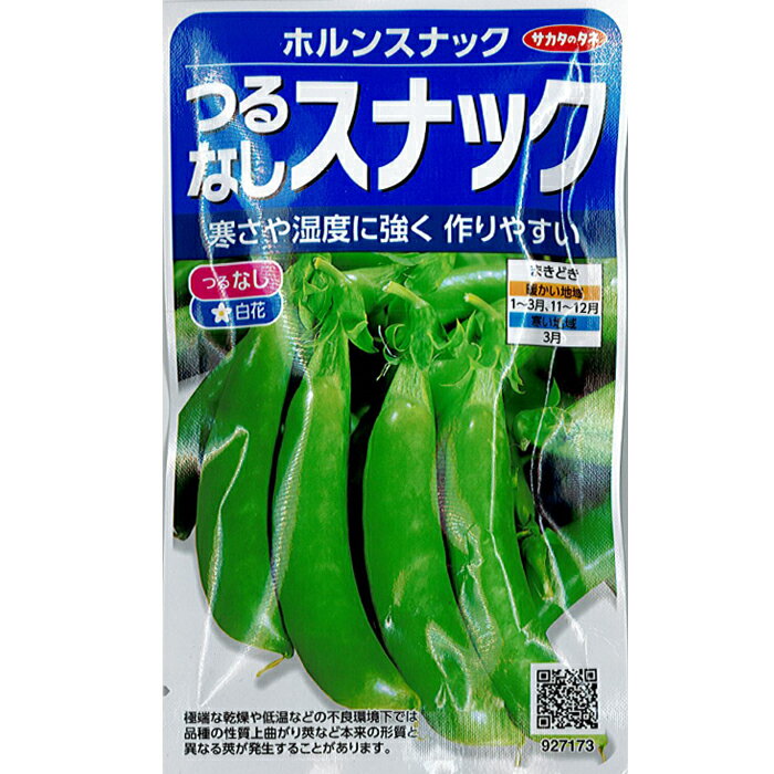 サカタのタネ エンドウマメ 種子 「ホルンスナック」 小袋 30ml 規格 種 野菜種 マメ科 つるなし スジ..