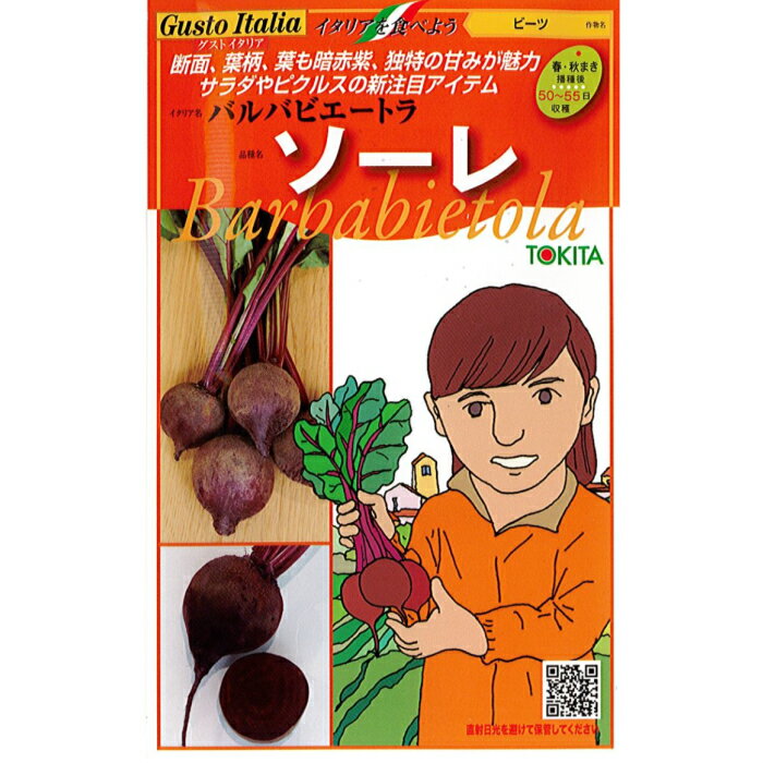 トキタ種苗 グストイタリア ビーツ 種子 「ソーレ」 小袋（80粒）規格 野菜種 イタリア野菜 テーブルビート 砂糖大根 種 紫 パープル アカザ科