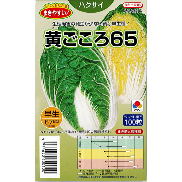 タキイ 種苗 ハクサイ 種子 黄ごころ 65 小袋 ペレット100粒 規格 種 野菜の種 白菜 種 はくさい 野菜種子 65 良食味 黄芯 コート