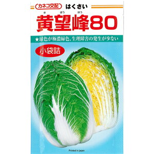 カネコ 種苗 ハクサイ 種子 「 黄望峰80 」 小袋 1ml 規格 種 野菜種 野菜種子 8月 9月 まき 10月 11月 12月 1月 収穫 黄芯 80日 直売所 家庭菜園