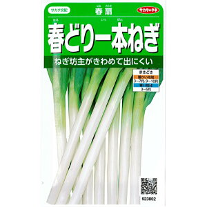 サカタのタネ ネギ 種子 「春扇」　小袋　2.5ml　規格 種 野菜種子 野菜種 葱 春どり 冬どり 晩抽性 サカタ交配 根深ねぎ