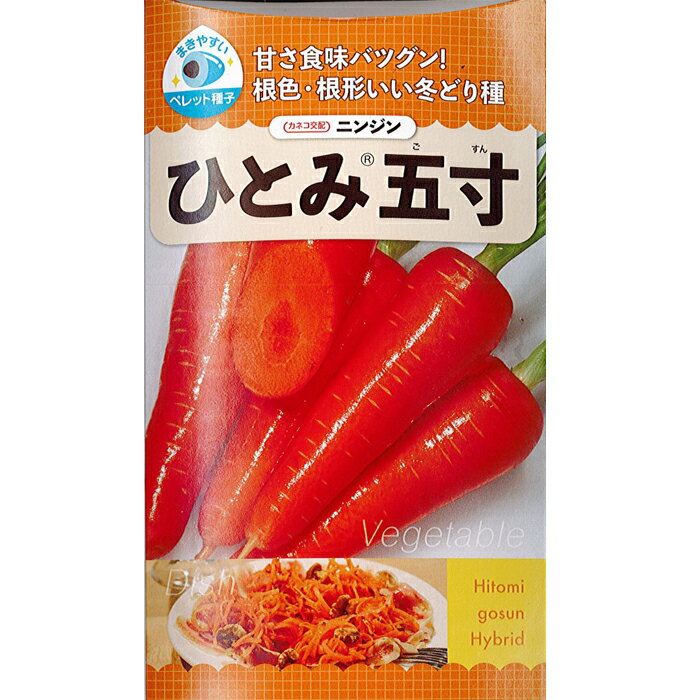 カネコ 種苗 ニンジン 種子 「 ひとみ五寸 」 小袋 ペレット 300粒 規格 種 野菜種 野菜種子 人参 赤 紅 甘み 五寸 冬どり 直売所 家庭菜園 ペレット種子 コーティング種子