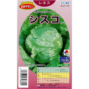 タキイ 種苗 レタス 種子 「 シスコ 」 小袋 ペレット150粒 規格 種 野菜の種 レタス 種 レタス 野菜種子 中生 冬どり 結球 玉レタス 秀品率 サリナス