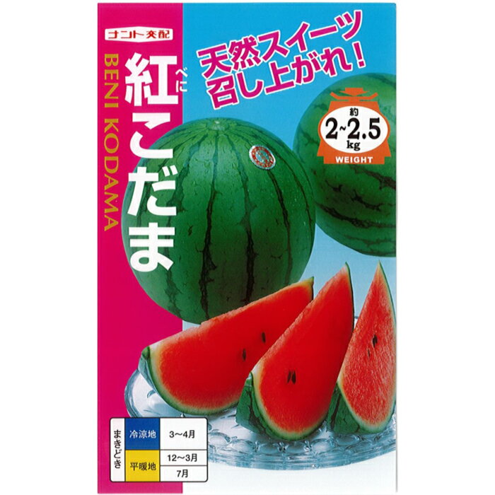 ナント 種苗 スイカ 種子 「紅こだま」 小袋 7粒 規格 種 野菜 野菜種 野菜種子 スイカ 小玉 天然スイーツ タネ 少ない 夏野菜