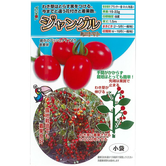 トキタ種苗 トマト 種子 「ジャングルミニトマト」 小袋　8粒規格 種 野菜の種 野菜種 ミニトマト トキタ プランター栽培 ハンギング ベランダ栽培 放任栽培