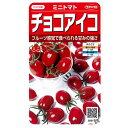 サカタのタネ トマト種子 「 チョコアイコ 」 小袋 13粒 規格 トマト 種 種子 ミニトマト ミニ トマト プラム型 つくりやすい 割れが少ない 高糖度 赤茶色