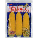 サカタのタネ トウモロコシ 種子 「 ゴールドラッシュ 」 200粒 規格 種 野菜種 スィートコーン 高食味 中早生 83 84