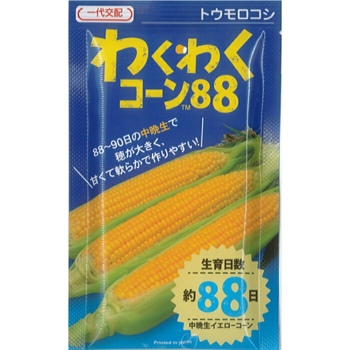 カネコ種苗 トウモロコシ 種子 「 わくわくコーン88 」小袋 100粒 規格 種 イエロー 野菜種 スィートコーン 高食味 中晩生 88 3月 4月 5月 6月 7月 8月のサムネイル
