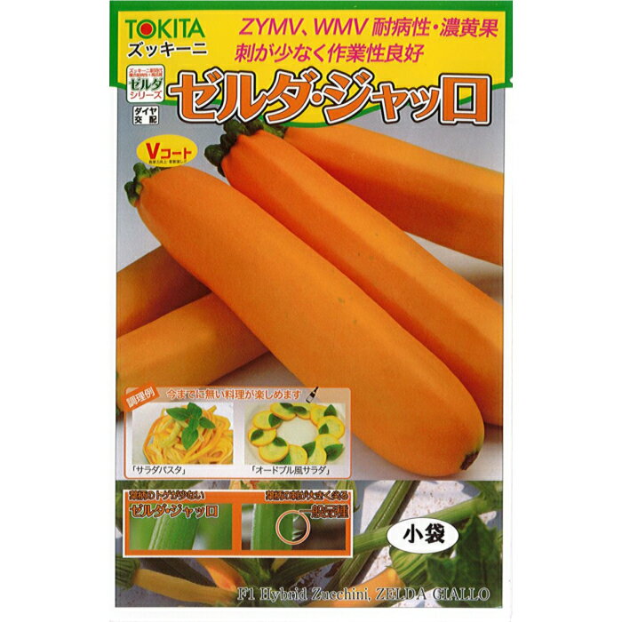 トキタ種苗 ズッキーニ 種子 「ゼルダ・ジャッロ」 小袋 10粒 規格 種 野菜 野菜種 野菜種子 ペポカボチャ 収穫容易 黄 トゲが少ない