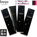 【ポイント5倍※要エントリー】4点セット ホーユー グラマージュ ヘアマニキュア 150g カラー選択式 4本 送料無料