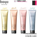 【OOH】ホーユー プロマスター カラーケア ラスティングアフター 36g 種類選択式 集中ケアクリーム