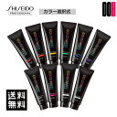 資生堂 カラーミューズ バイ プリミエンス カラークリーム 240g 全10色から選択 送料無料 選択式 COLORMUSE