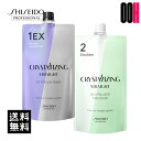 資生堂 クリスタライジングストレート EX ストレートナー 400g 第1剤 & ニュートラライザー エマルジョン 400g 第2剤 縮毛矯正剤 業務用 送料無料