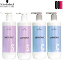 シュワルツコフ サロンオンリー シャンプー 1000mL 2本 & コンディショナー 1000mL 2本 ポンプタイプ セット 送料無料
