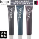 【OOH】3点セット ホーユー カレンシアカラー 80g ナチュラルグレー ブルーグレー ソフトグレー 3色から選択 白髪ぼかし 1剤 カレンシア カラー 送料無料