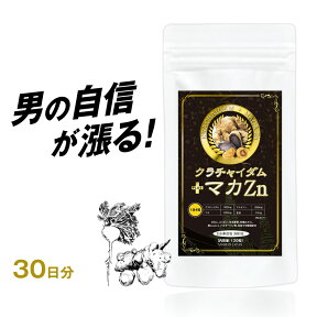 【アウトレット 賞味期限2022年07月】クラチャイダム＋マカZn 30日分(120粒)【送料無料】日本製 マカ 亜鉛 サプリ ゴールドタイプ サプリメント すっぽん 黒にんにく アルギニン