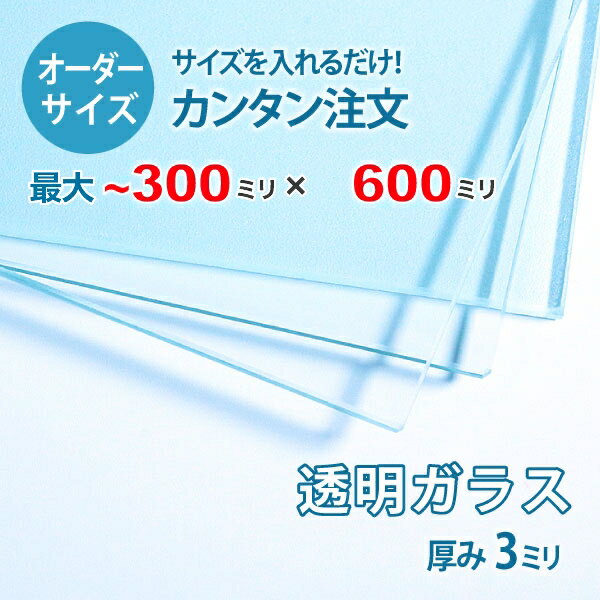 【オーダーサイズ】透明ガラス厚さ3ミリ：300ミリ×600ミリ以内のガラスのサイズオーダー製作：全周糸面..