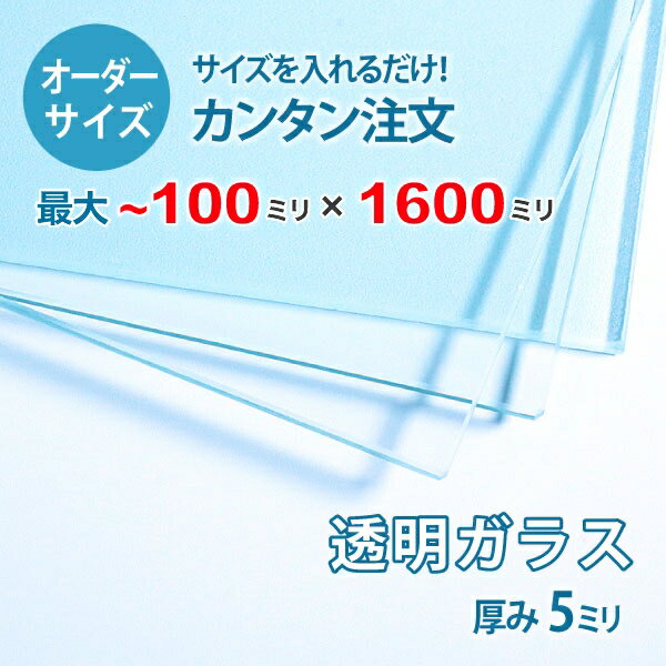 【オーダーサイズ】透明ガラス厚さ5ミリ：100ミリ×1600ミリ以内のガラスのサイズオーダー製作：全周ミガキ加工済み【安心保証付き】／DIY・棚板・テーブルトップ・間仕切り