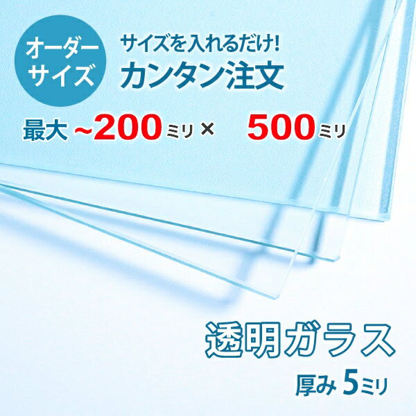 【オーダーサイズ】透明ガラス厚さ5ミリ：200ミリ×500ミ