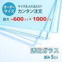 ■この商品について透明ガラス(フロートガラス)は、ガラスの中でも最も一般的に使用されているガラスです。テーブル天板の傷や汚れ防止のためにテーブルの上にのせるガラス天板や、窓や家具のガラス、洋服店などのお店の商品陳列棚としてよく利用されていま...