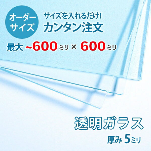 【オーダーサイズ】透明ガラス厚さ5ミリ：600ミリ×600ミリ以内のガラスのサイズオーダー製作：全周ミガキ加工済み【安心保証付き】／DIY・棚板・テーブルトップ・間仕切り