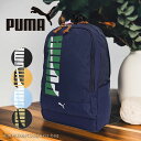 プーマ PUMA リュックサック 20L エイダン j20144 /月間優良ショップ デイパック キッズリュック A4対応 ビッグプリント ビッグロゴ 軽量 撥...