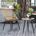ガーデンチェア おしゃれ ラタン調 屋外家具 オーバルチェア 2脚セット ガーデンファニチャー
