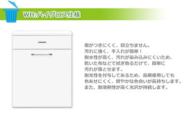 ゴミ箱 おしゃれ ダストボックス 45リットル ダストBOX ダストカウンター ごみ箱 2分別 カウンター キッチンカウンター キッチン収納 幅40cm スリム ペール付き 木製 消臭 完成品 国産 ナチュラル/ブラウン/ホワイト