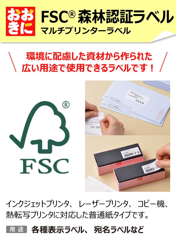 FSCGB888 ヒサゴ ラベルシール A4タックシール FSC認証材使用 A4判 10面 1片サイズ86.4mm×50.8mm 上下左右余白あり 表示ラベル 棚ラベル 宛名ラベル インクジェットプリンタ・レーザープリンタ適合 マルチプリンターラベル