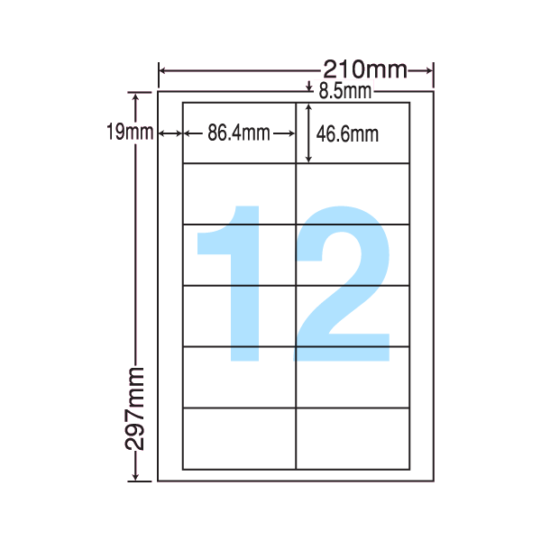 LDW12PB ٥륷 A4/12 500 ̵