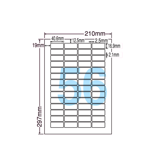 ھ̡LDW56L ٥륷 A4/56 100 