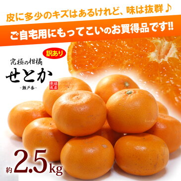 訳ありせとか(約2.5kg)愛媛産 せとか みかん せとか訳あり 柑橘 瀬戸香 食品 フルーツ 果物 みかん せとか 送料無料