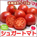 シュガートマト