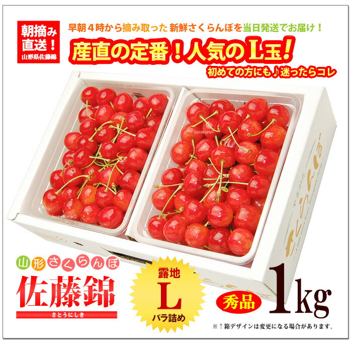山形 さくらんぼ 佐藤錦 (L玉/1kg) 山形産 露地栽培 秀品 サクランボ 桜桃 チェリ...